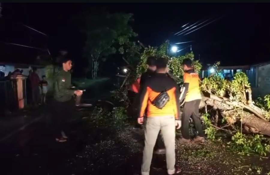 Pohon Tumbang Blokir Total Jalan Padang–Bengkulu di Pessel