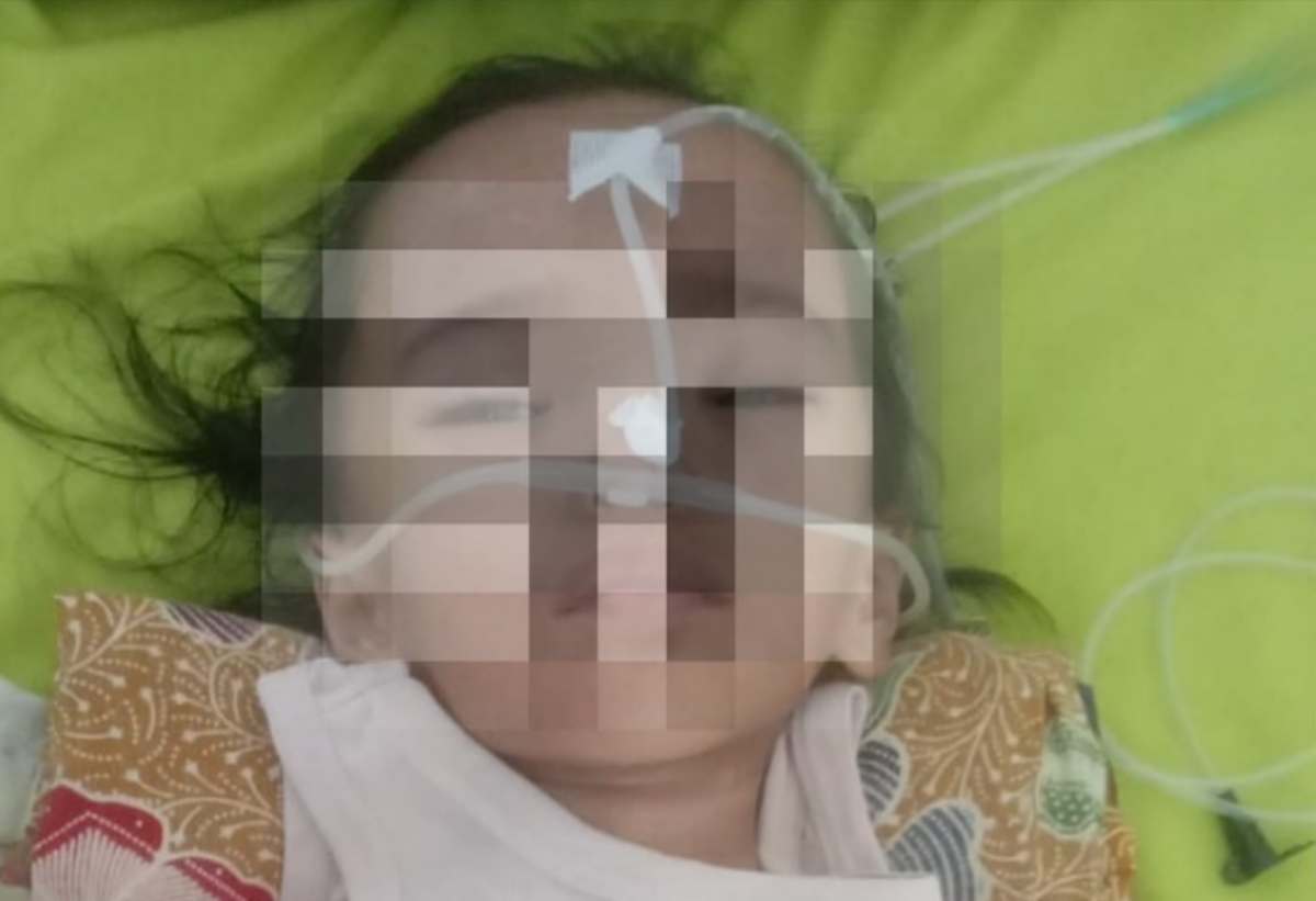 Kisah Pilu Zulvina, Bocah Talamau yang Berjuang Melawan Meningitis di Tengah Keterbatasan