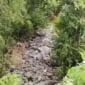 Kondisi aliran sungai di Jorong Gantiang, Nagari Singgalang, Kecamatan X Koto, Kabupaten Tanah Datar, yang mendadak kering di bagian hilir padahal deras di hulu, Jumat (5/12/2025). Warga khawatir air masuk ke rongga tanah dan memicu labilitas tanah di kawasan tersebut. (Ist.)