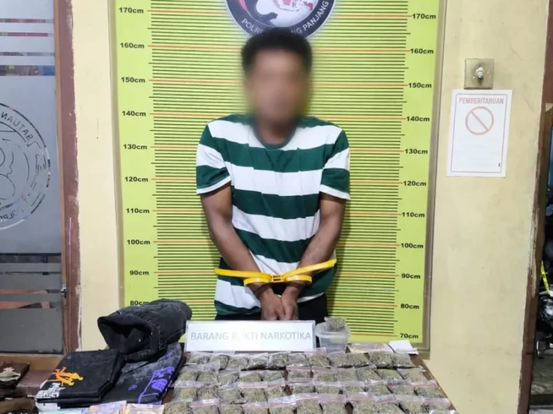 Peredaran Ganja Digulung, Satresnarkoba Polres Padang Panjang Amankan Puluhan Paket Siap Edar