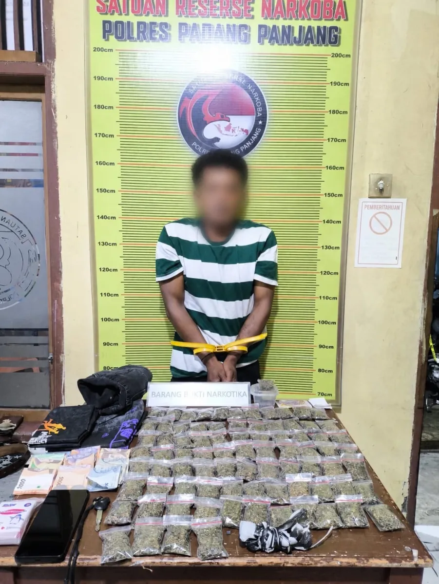 Polres Padang Panjang Gagalkan Peredaran 82 Paket Ganja Kering Siap Edar di Tanah Datar