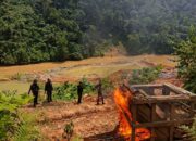 Tim Trisula Polres Solok Selatan menertibkan lokasi tambang emas tanpa izin (PETI) di Sangir Batang Hari. Fasilitas penambang dimusnahkan.