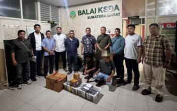 Penyelundupan 25 Beo Mentawai Digagalkan di Bungus, Sopir dan Kernet Truk Ditangkap