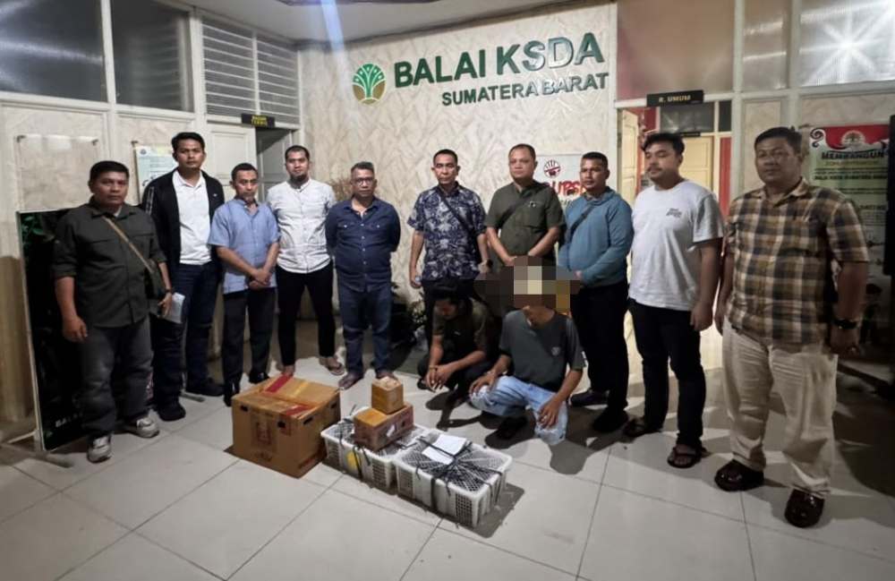 Penyelundupan 25 Beo Mentawai Digagalkan di Bungus, Sopir dan Kernet Truk Ditangkap