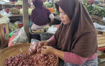 Ini Rincian Upah Pengupas Bawang di Sumatera hingga Bali