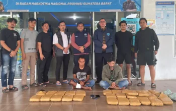 BNNP Sumbar Gagalkan Peredaran 29,85 Kg Ganja Jaringan Madina-Sumbar, Pengendali Diduga Napi Lapas Bukittinggi