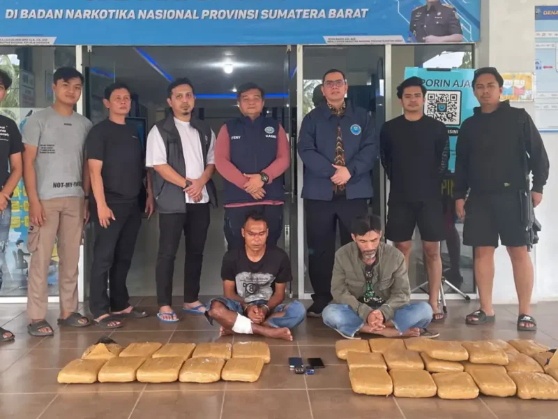 BNNP Sumbar Petakan Tiga Jalur Ganja Sumut-Sumbar, Palupuh Favorit