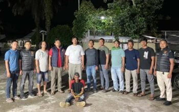Diduga Setubuhi Anak Tiri yang Disabilitas, Pria di Pasbar Ditangkap di Kebun Sawit