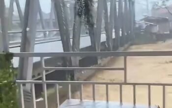 Sawah dan kandang itik di lubuk minturun terendam, peternak khawatir dampak banjir meluas
