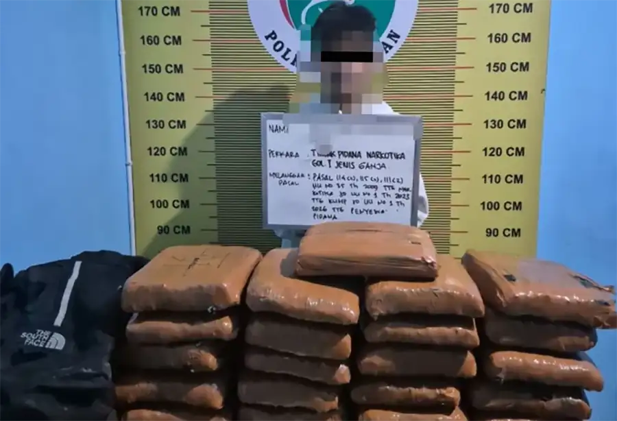Polisi Ringkus Kurir Asal Panyabungan di Pasaman, 21 Paket Besar Ganja Disita