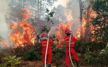 10 relawan karhutla gugur, bnpb janji evaluasi prosedur keselamatan