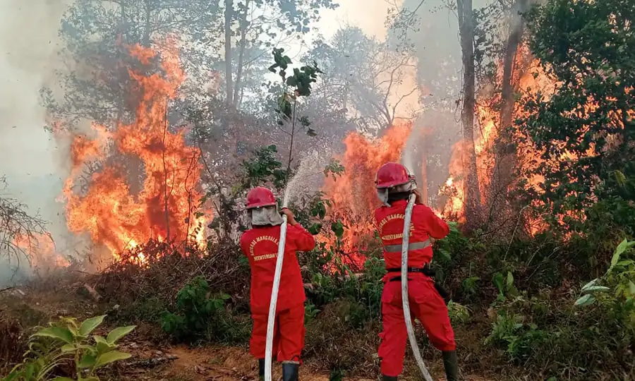 10 Relawan Karhutla Gugur, BNPB Janji Evaluasi Prosedur Keselamatan